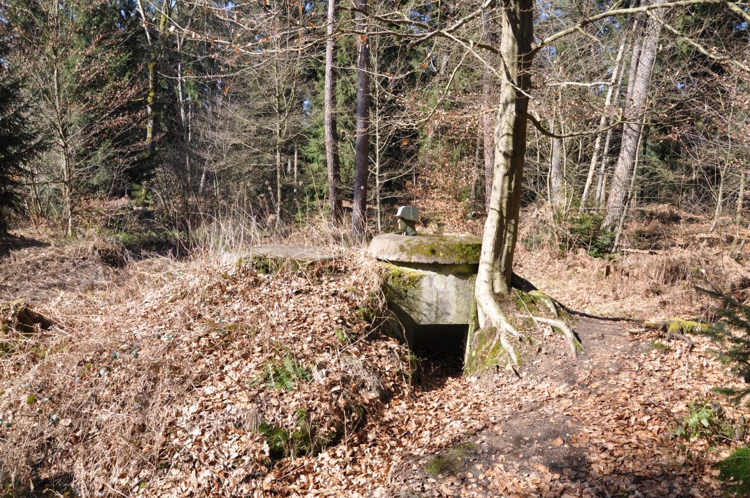 Blocao alemán en el bosque de Bienwald. 